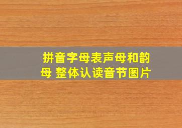 拼音字母表声母和韵母 整体认读音节图片